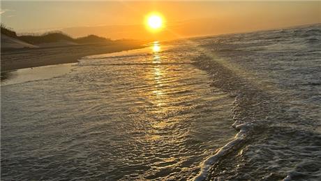 Banner Picture